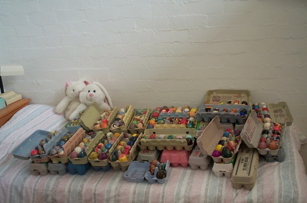 A bed's worth of eggs