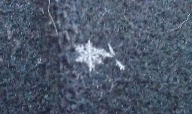 snowflake on coat